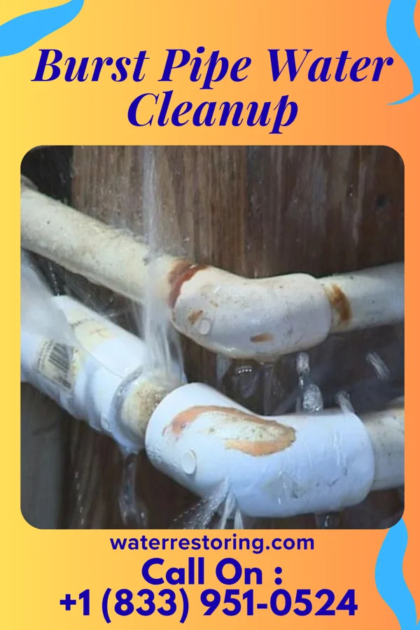 Burst Pipe Water Cleanup in Plover, IA