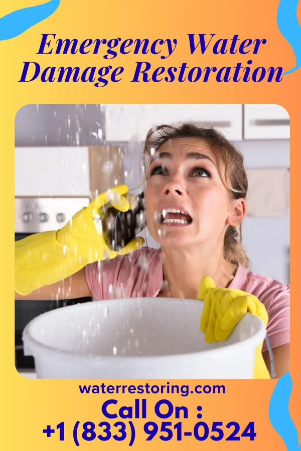 Emergency Water Damage Restoration in Plover, IA